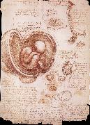 LEONARDO da Vinci The embryo in the Uterus oil painting reproduction